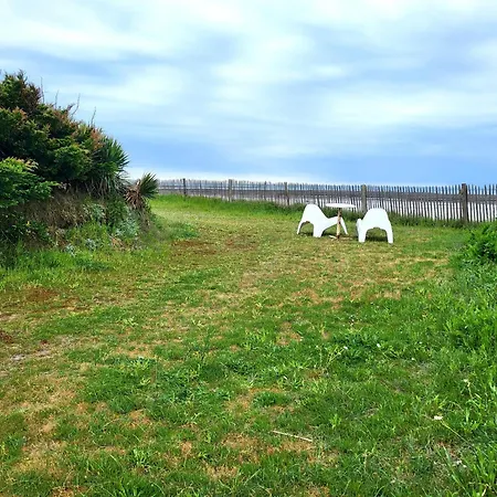 度假居 La Maison Du Rivage Bretteville-sur-Ay
